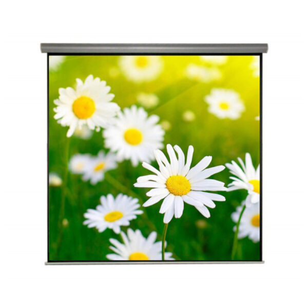 Liberty Juno 6' X 8' (72”X 96”) Inches Motorized Projector Screen